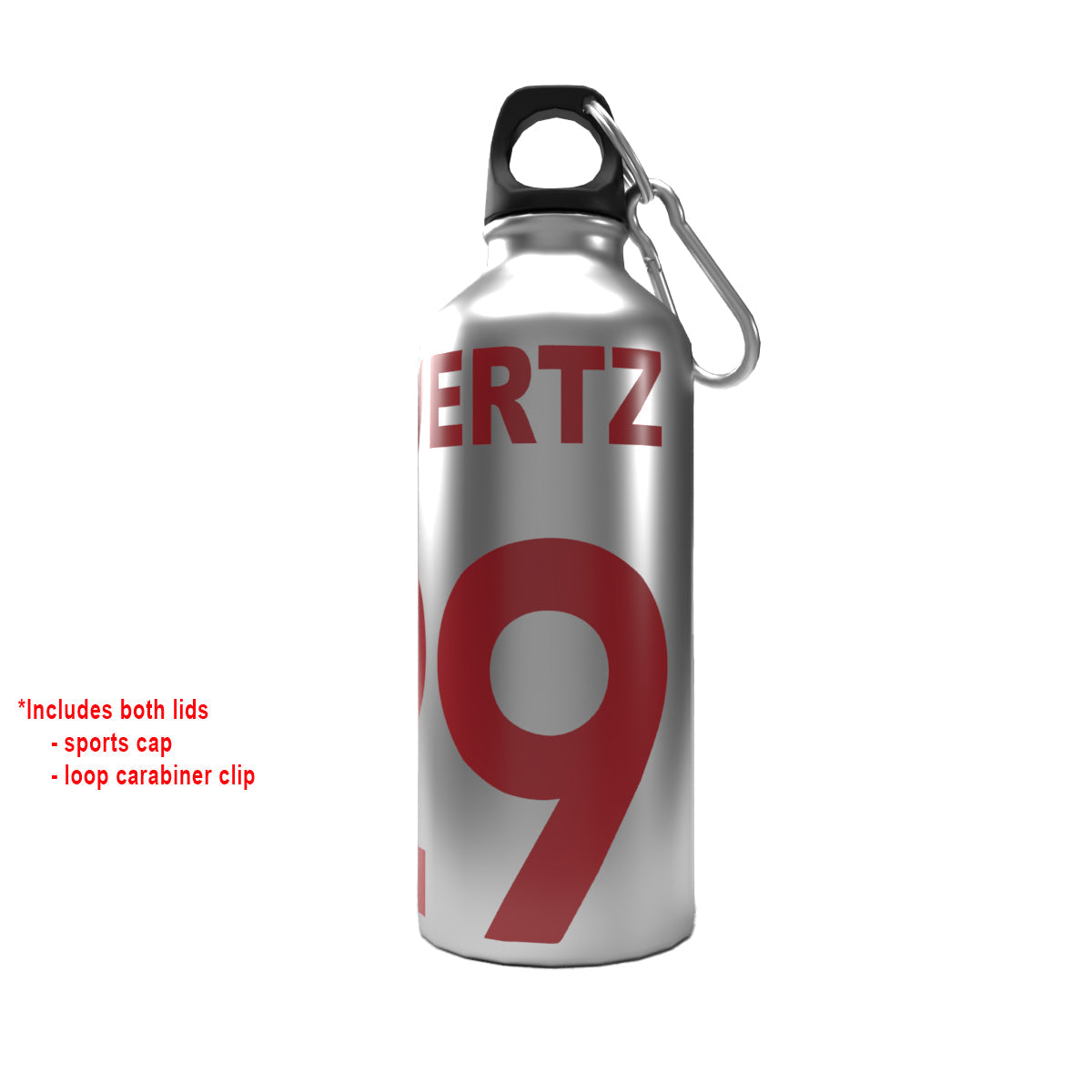 Havertz 2-Lid Aluminium Water Bottle Silver