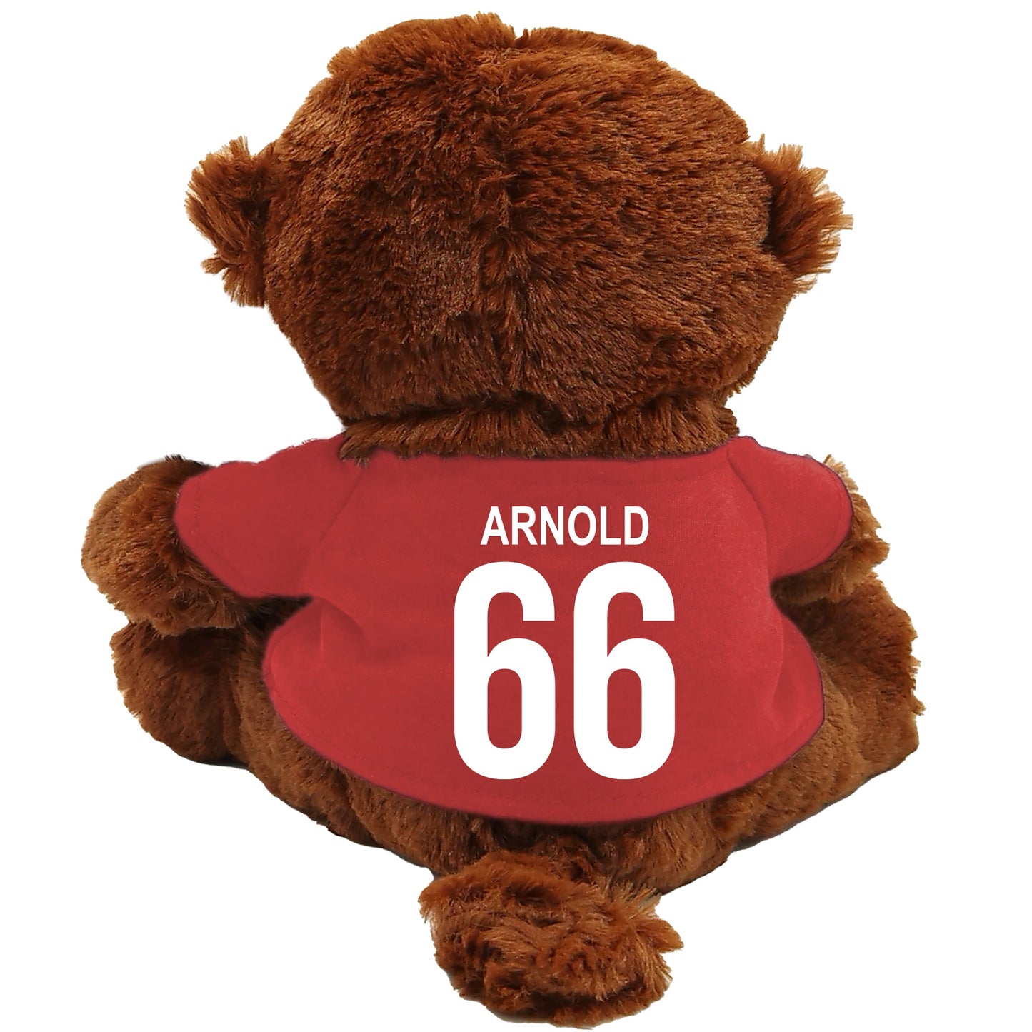 Arnold Monkey - 20cm