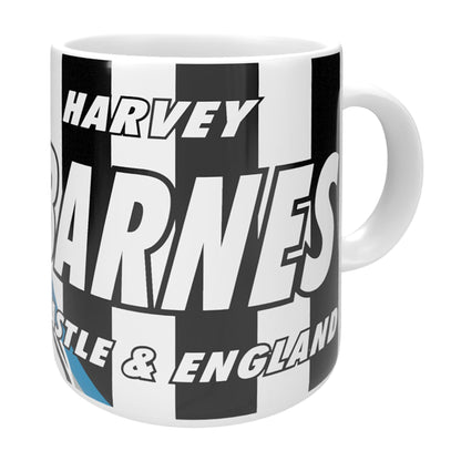 Barnes Newcastle Mug