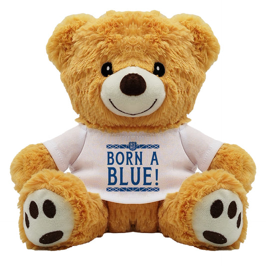 Born a Blue Teddy Bear - 20cm