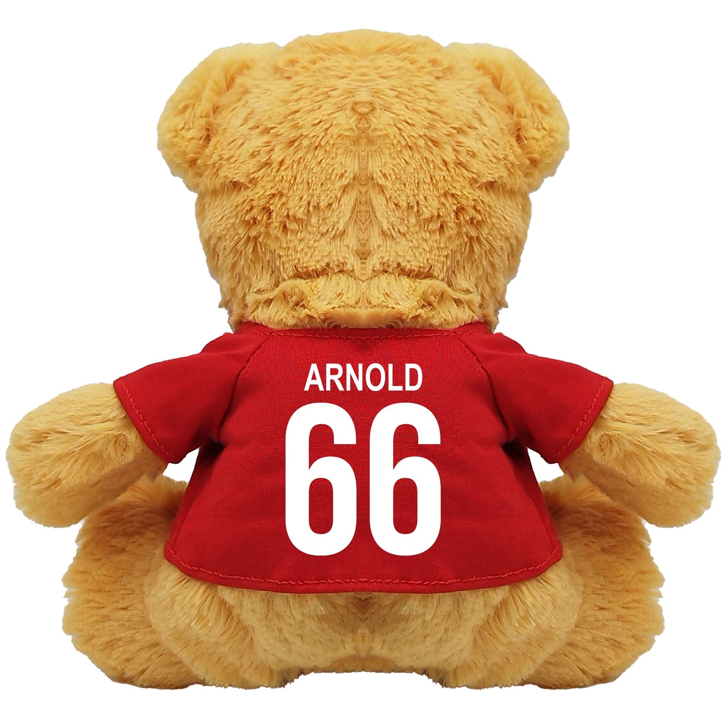 Arnold Teddy Bear - 20cm